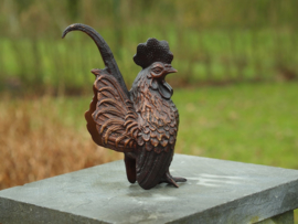 Tuinbeeld brons - beeld Kip Vleugel - Bronzartes
