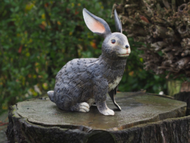 Beeld metaal - Tuinbeeld - beeld konijn - 35 cm hoog