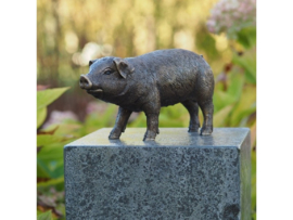 Beeld brons Varken - Bronzartes - 12 cm hoog - voor huis en tuin
