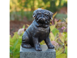Beeld brons - Tuinbeeld - bronzen beeld - Hond - Bronzartes - 29 cm hoog - voor huis en tuin