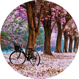 80 cm rond - Glasschilderij - rond schilderij fotokunst - Cherry blossom - natruur foto print op glas