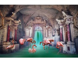 160 x 110 cm - Glasschilderij - Flamingo's in ondergrondse tempel - schilderij fotokunst - foto print op glas