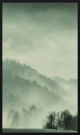 schilderij Forex met zwarte lijst | 70x118cm | Winter Wonders 004 | Mistig bos