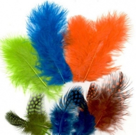 800804/2906- 18 stuks marabou & guinea verenmix felle kleuren