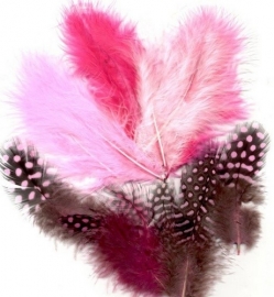 800804/2903- 18 stuks marabou & guinea verenmix roze