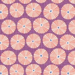 Cotton Beach Limpet Shell Lilac