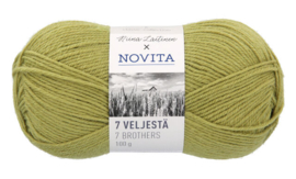 Novita 7 brothers kleur 330