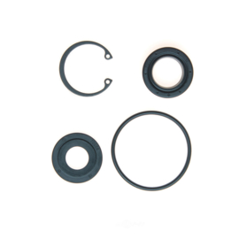 Steering Gear Input Shaft Seal Kit