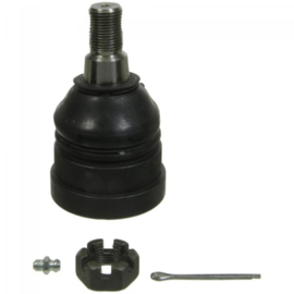 Ball Joint- -Lower--  C20