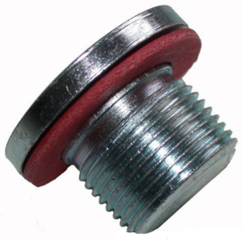 Differential Drain Plug  M22-15