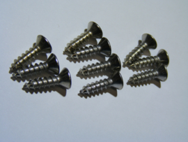 Lower door Hinge Panel Screws  ( 10 Pcs )    1954-55