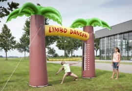 Limbodansen