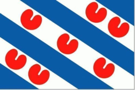Vlag Friesland /  provinsje Fryslân vlag