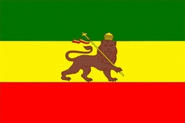 Vlag van Ethiopië met Leeuw