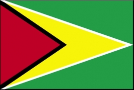 Vlag van Guyana