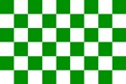 Geblokte supporters vlag groen/wit 90 x 150