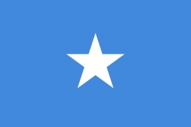 Vlag van  Somalië