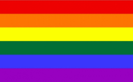 Regenboog vlag 150 x 250 cm