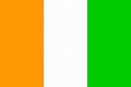 Vlag Ivoorkust Groot 150 x 250cm