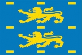 Vlag West-Friesland bestellen