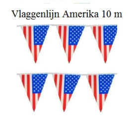 10 Meter Vlaggenlijn Amerika