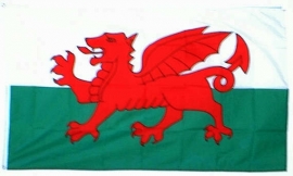 vlag van Wales