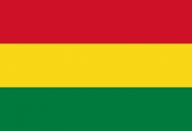 Vlag van Bolivia