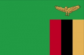 Vlag van  Zambia
