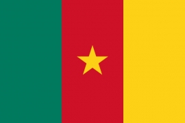 Vlag van Kameroen Groot 150 x 250cm