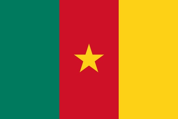 tornado Horzel commando Vlaggen van Afrikaanse landen, Afrikaanse landen vlag bestellen