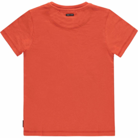 WARRY T-SHIRT JONGENS MID, Tumble 'n dry