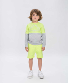 Gidar yellow neon, Tumble n Dry