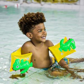 Swim Essentials 3D Dinosaurus Zwembandjes 2-6 jaar