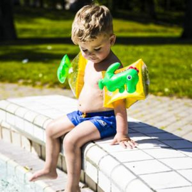 Swim Essentials 3D Dinosaurus Zwembandjes 2-6 jaar