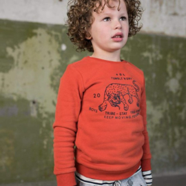 Vico sweater Orange dark, Tumble 'n Dry