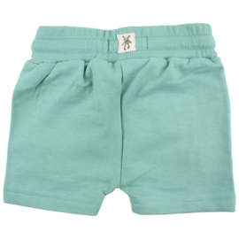 Eddy shorts feldspar, Smallrags