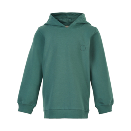 Hoodie LS Sweat Sea Pine, Enfant