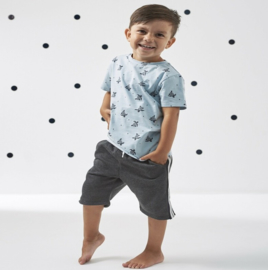 Boys Short Contrast Antra Melee, Little Label