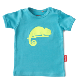 Boys t-shirt blue green, Tapete