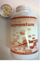 Interzym-FERMENTUM-800 magensaftresistente Tabletten