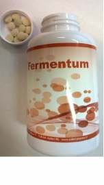 Interzym-FERMENTUM-400 magensaftresistente Tabletten