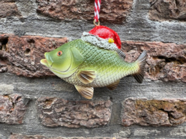 Vis / Karper met Kerstmuts