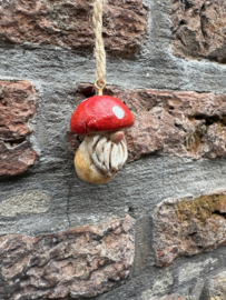 Paddenstoelen Kerstmannetje