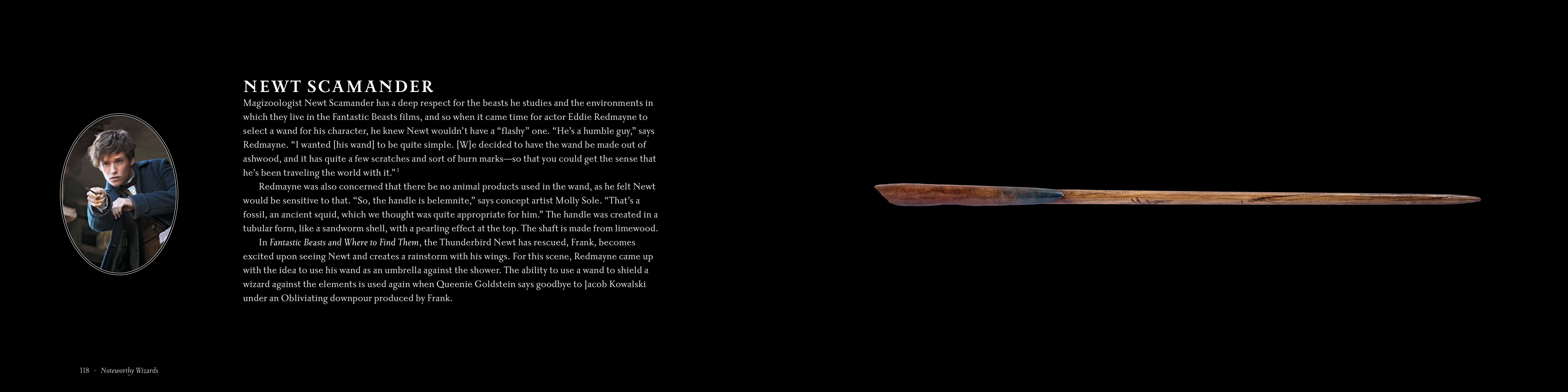 Harry Potter : The wands of the wizarding world
