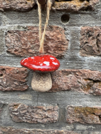 Paddenstoeltje Plat hoedje