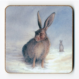 Snow Hares