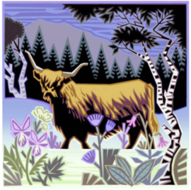 JT Highland Cow