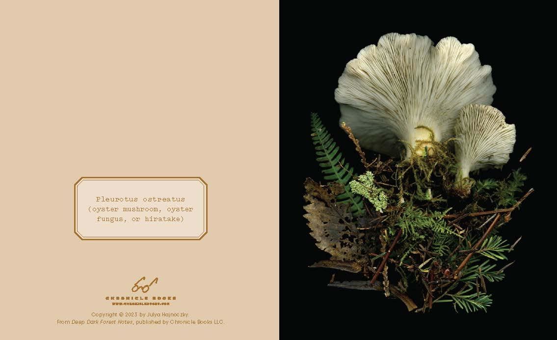 Deep Dark Forest  (Notecards & Enveloppes)