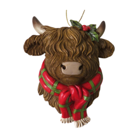 Schotse Hooglanders / Highland Cows