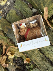Miniatuur Schotse Coo in doosje